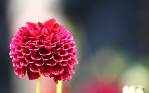 ubuntu 如何查看驱动