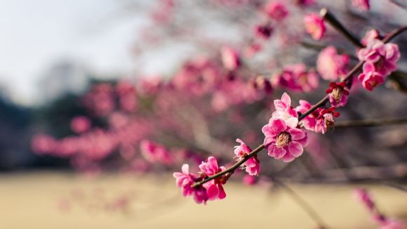 qq的位置在哪里关闭