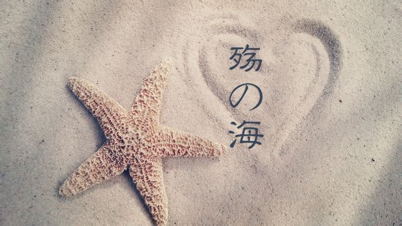 乐视码卷如何使用