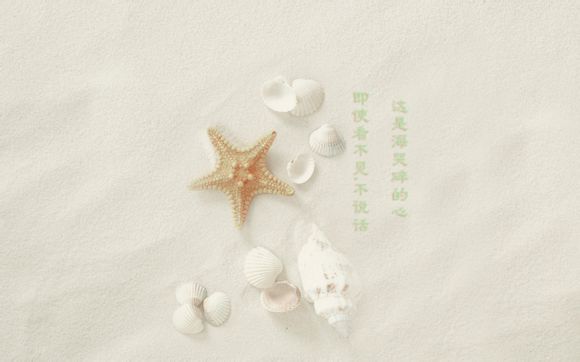 360系统布丁在哪里